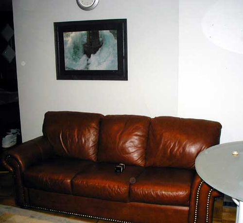 Fine Leather Furniture Can Accentuate Any Home