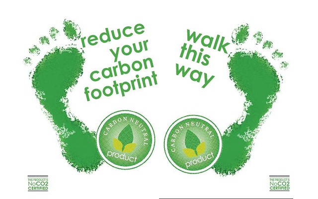 6 easy and simple ways to reduce your carbon footprint